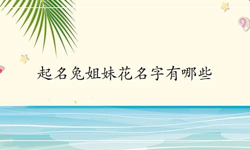 起名兔姐妹花名字有哪些