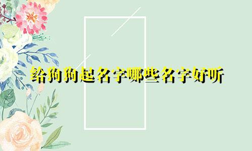 给狗狗起名字哪些名字好听