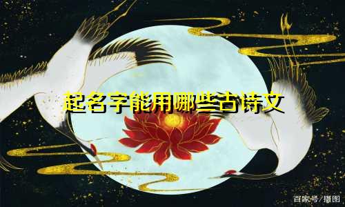 起名字能用哪些古诗文
