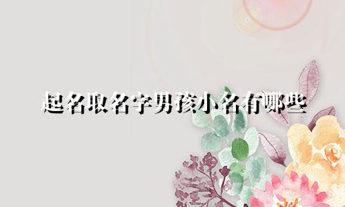 起名取名字男孩小名有哪些