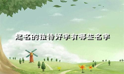 起名的独特好字有哪些名字