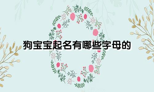狗宝宝起名有哪些字母的