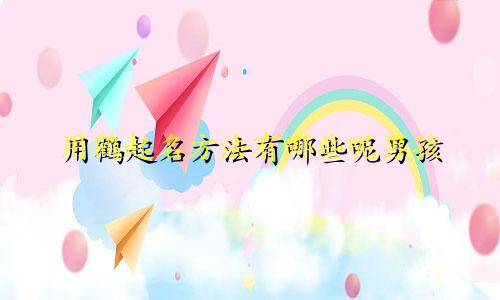 用鹤起名方法有哪些呢男孩