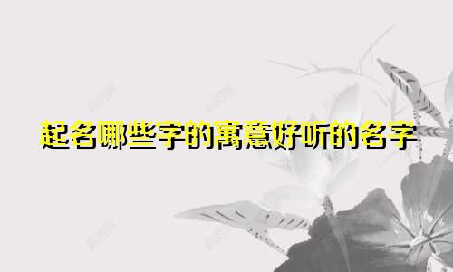 起名哪些字的寓意好听的名字