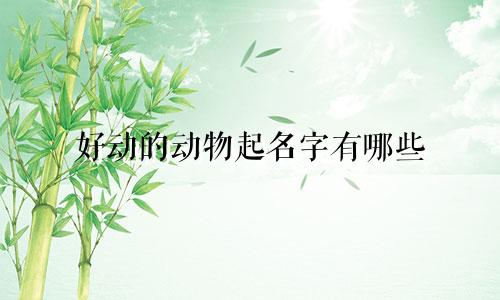 好动的动物起名字有哪些