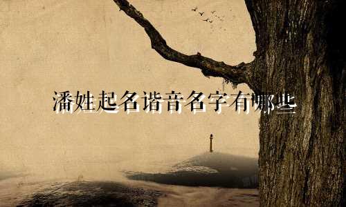 潘姓起名谐音名字有哪些