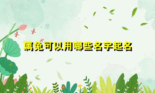 属兔可以用哪些名字起名