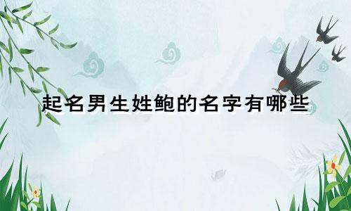 起名男生姓鲍的名字有哪些