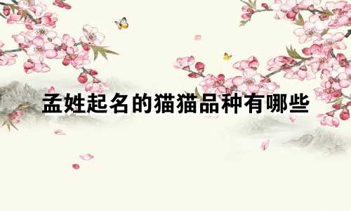 孟姓起名的猫猫品种有哪些