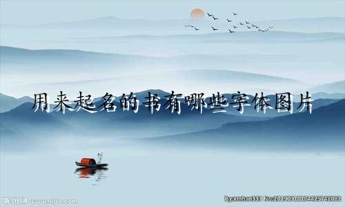 用来起名的书有哪些字体图片