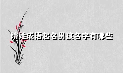 隋姓成语起名男孩名字有哪些
