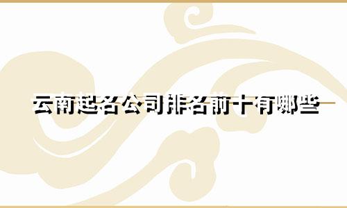 云南起名公司排名前十有哪些