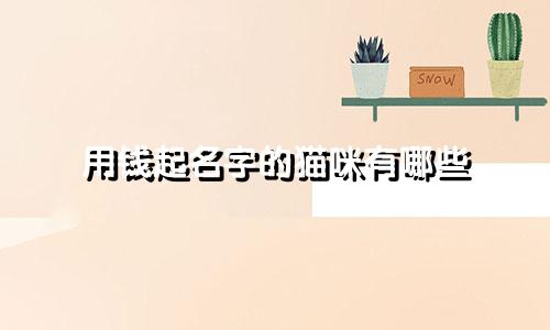用钱起名字的猫咪有哪些