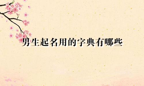男生起名用的字典有哪些