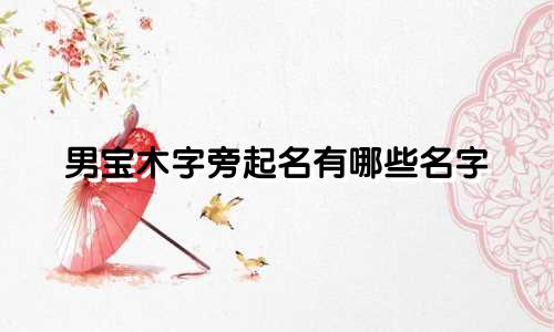 男宝木字旁起名有哪些名字