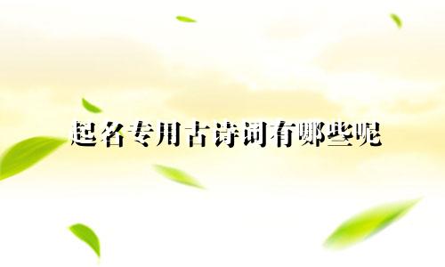 起名专用古诗词有哪些呢