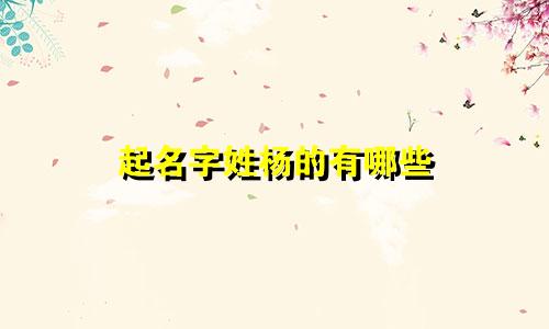 起名字姓杨的有哪些