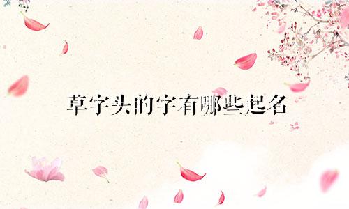 草字头的字有哪些起名