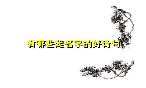 有哪些起名字的好诗句