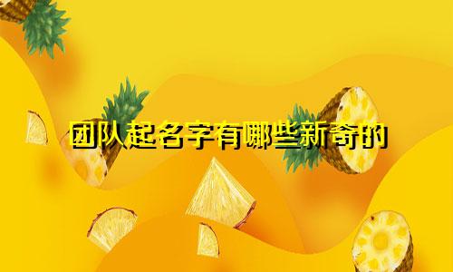 团队起名字有哪些新奇的