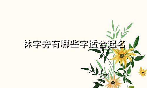 林字旁有哪些字适合起名