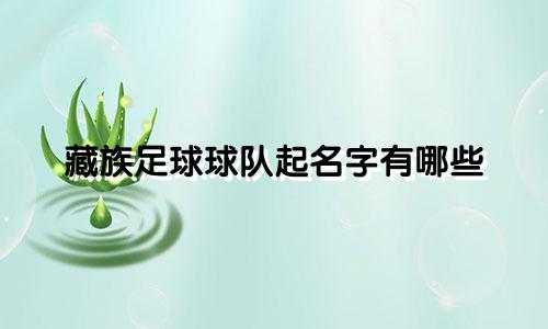 藏族足球球队起名字有哪些