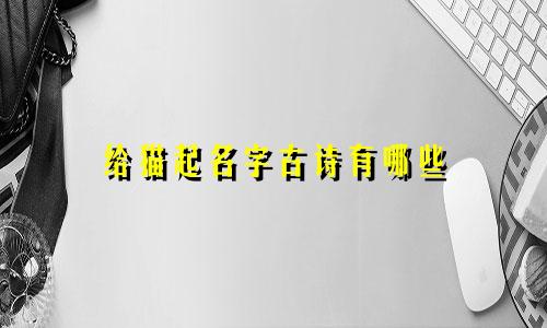 给猫起名字古诗有哪些