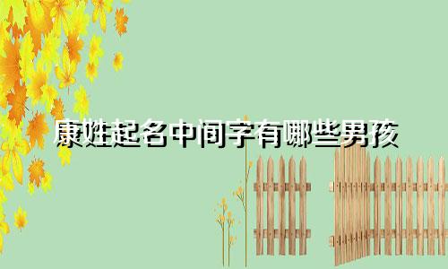 康姓起名中间字有哪些男孩