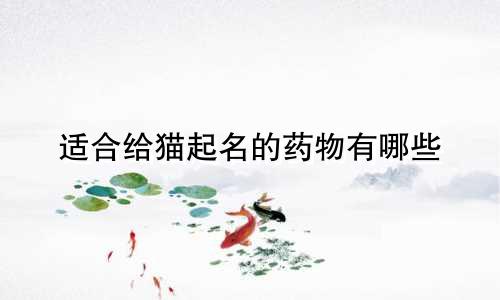适合给猫起名的药物有哪些
