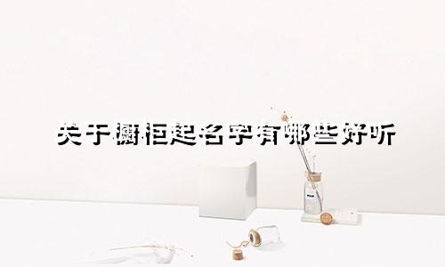 关于橱柜起名字有哪些好听