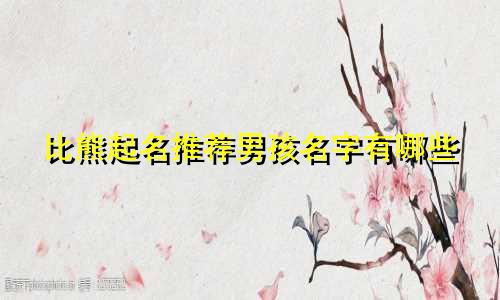 比熊起名推荐男孩名字有哪些