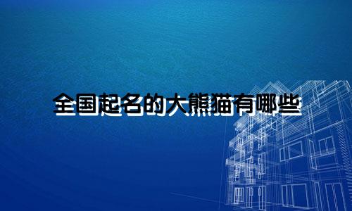全国起名的大熊猫有哪些
