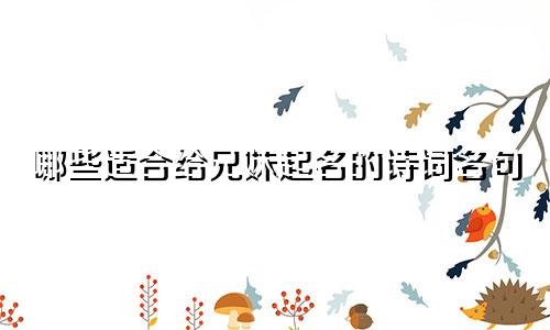哪些适合给兄妹起名的诗词名句