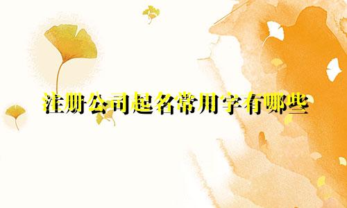 注册公司起名常用字有哪些