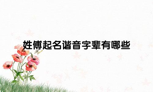 姓傅起名谐音字辈有哪些