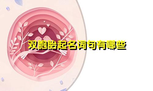 双胞胎起名词句有哪些