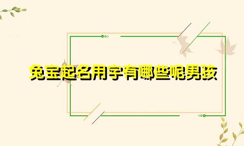 兔宝起名用字有哪些呢男孩