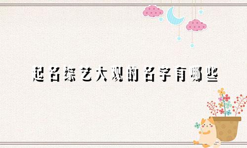 起名综艺大观的名字有哪些