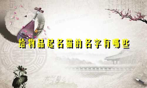 给物品起名猫的名字有哪些