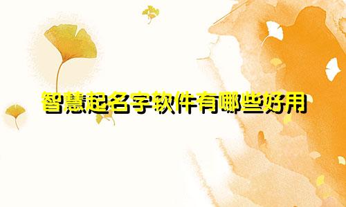 智慧起名字软件有哪些好用