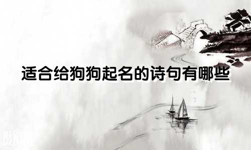 适合给狗狗起名的诗句有哪些