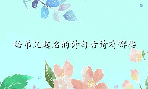 给弟兄起名的诗句古诗有哪些