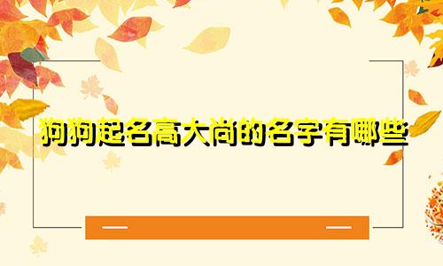 狗狗起名高大尚的名字有哪些