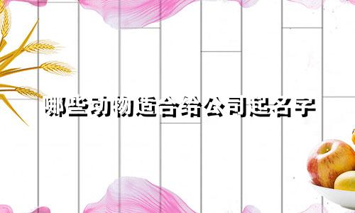 哪些动物适合给公司起名字