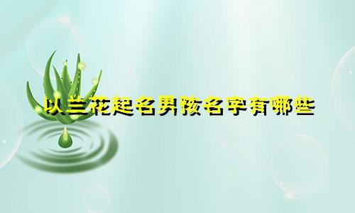 以兰花起名男孩名字有哪些