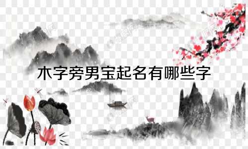 木字旁男宝起名有哪些字