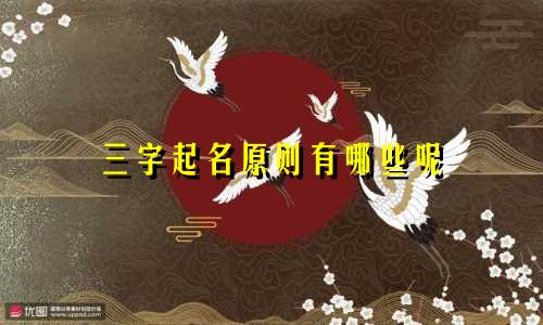 三字起名原则有哪些呢
