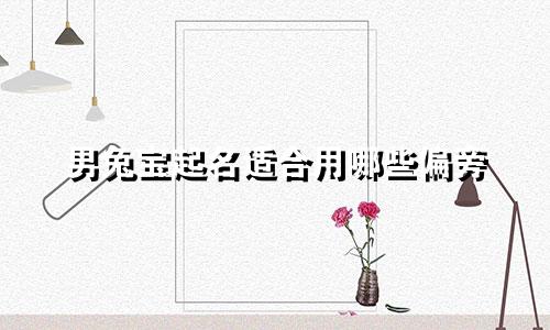 男兔宝起名适合用哪些偏旁
