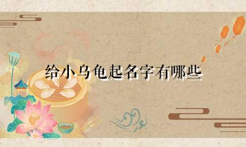 给小乌龟起名字有哪些