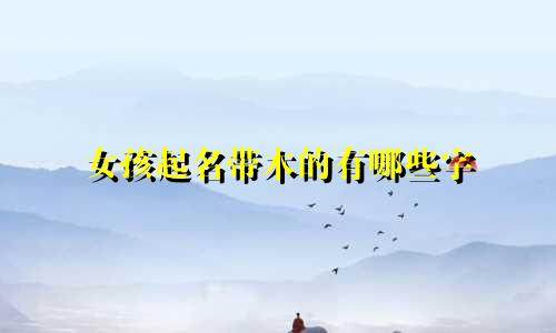 女孩起名带木的有哪些字